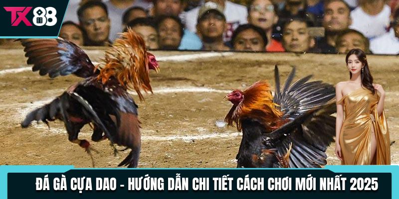 da ga cua dao huong dan chi tiet cach choi moi nhat 2025