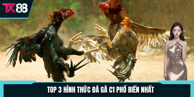 Top 3 hình thức đá gà C1 phổ biến nhất